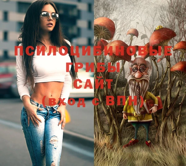 прущая мука Богородск