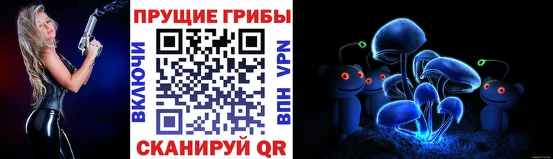 Галлюциногенные грибы мицелий  Великий Устюг 